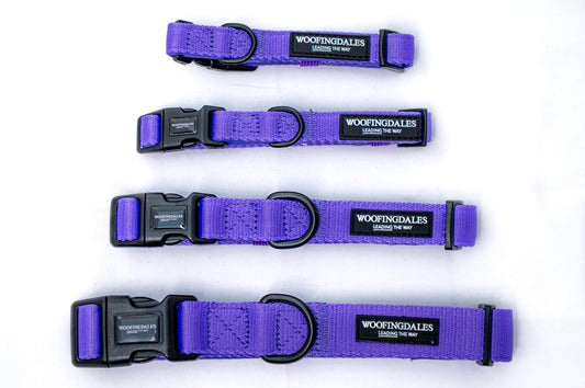 Peak Paws Collar - Violet - Woofingdales.co.uk