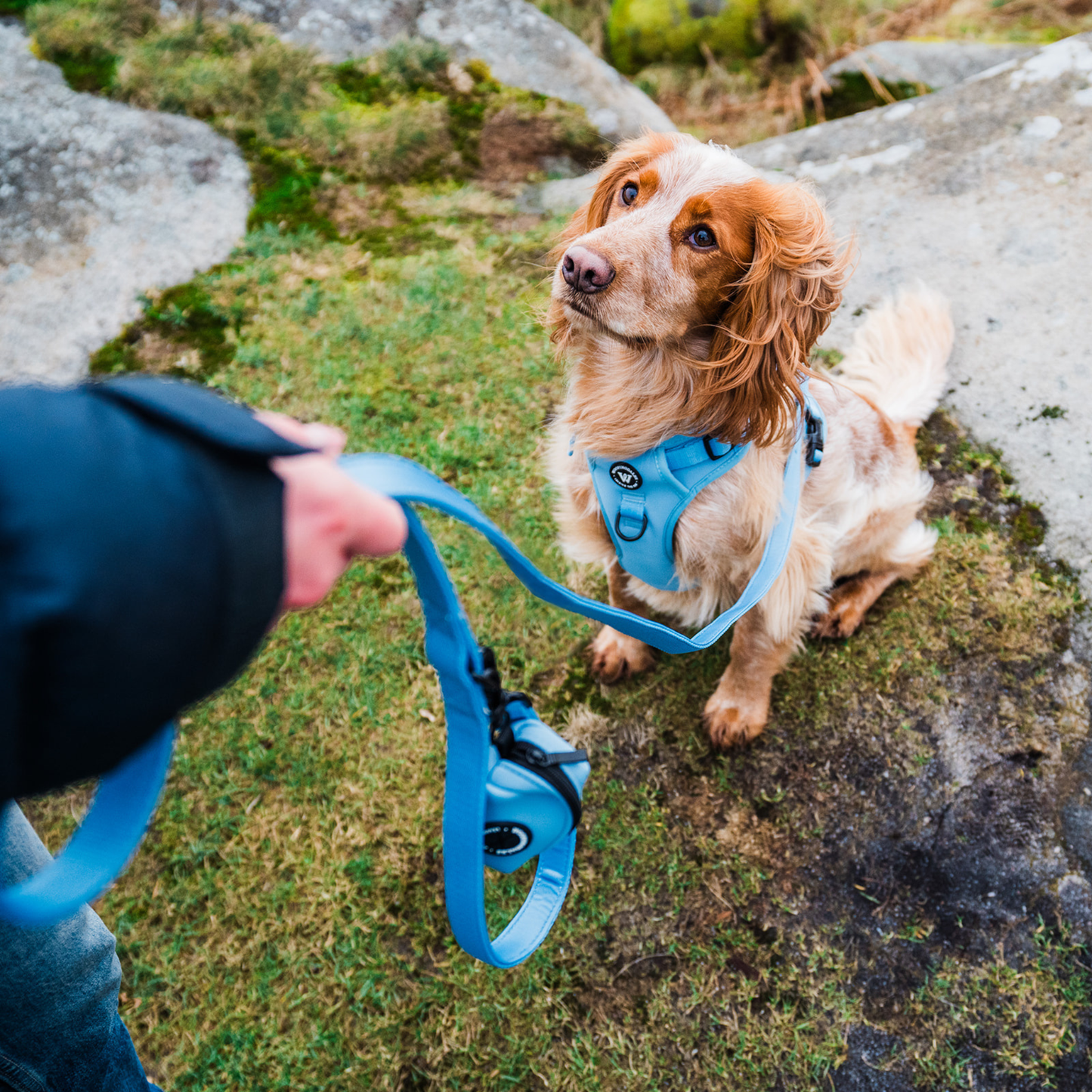 Peak Paws Harness - Blue - Woofingdales.co.uk