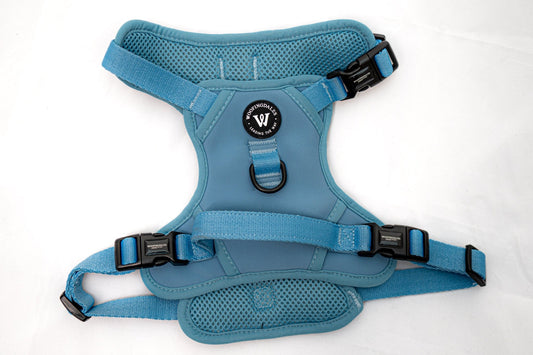 Peak Paws Harness - Blue - Woofingdales.co.uk