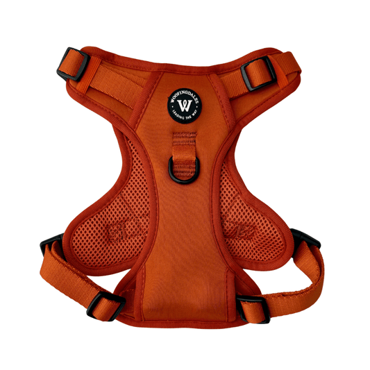 Peak Paws Harness - Burnt Orange - Woofingdales.co.uk