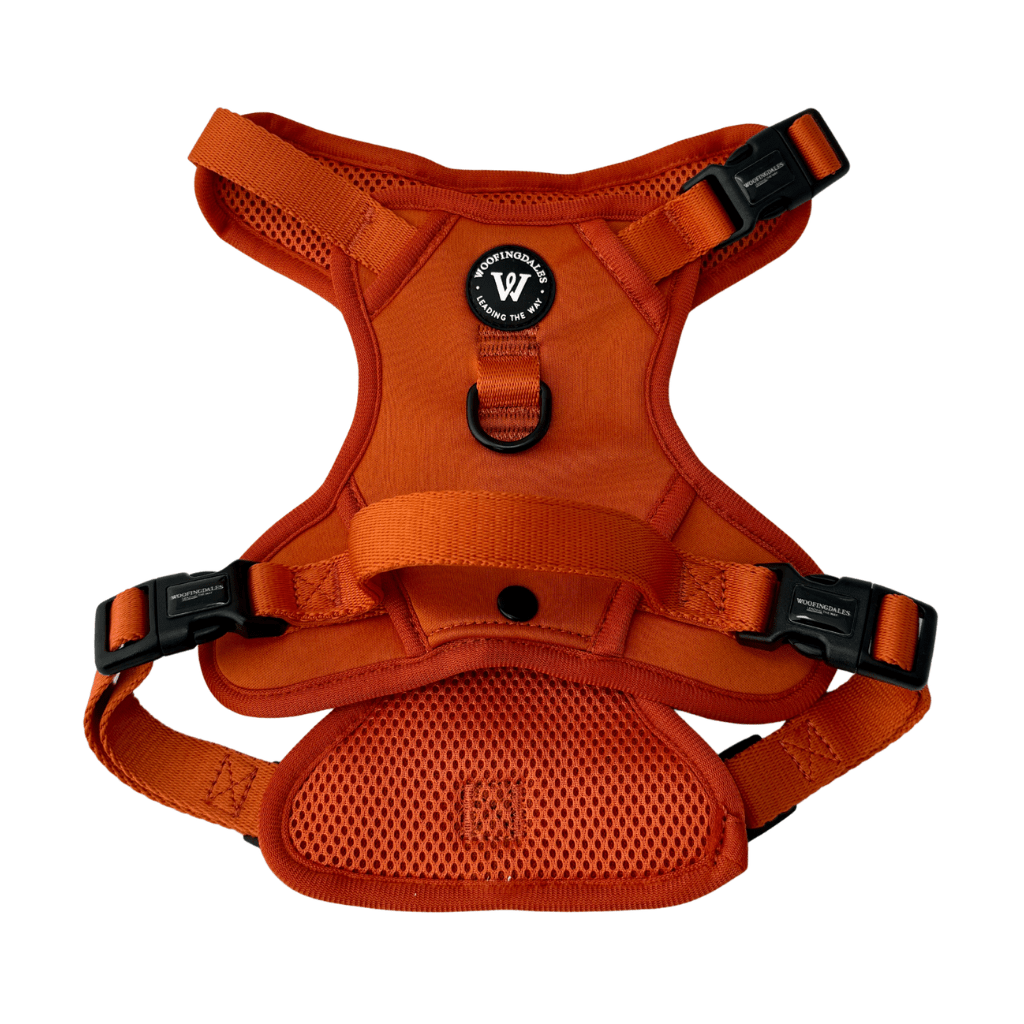 Peak Paws Harness - Burnt Orange - Woofingdales.co.uk