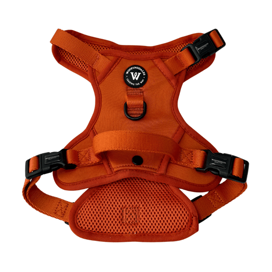Peak Paws Harness - Burnt Orange - Woofingdales.co.uk