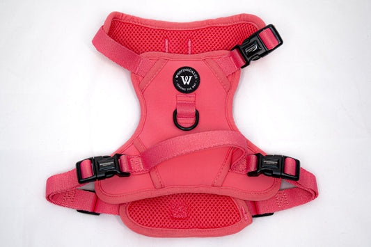 Peak Paws Harness - Fuchsia Pink - Woofingdales.co.uk