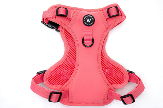 Peak Paws Harness - Fuchsia Pink - Woofingdales.co.uk