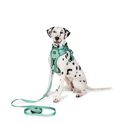 Peak Paws Harness - Green - Woofingdales.co.uk