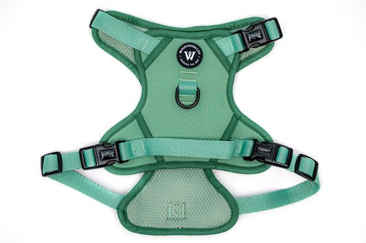 Peak Paws Harness - Green - Woofingdales.co.uk