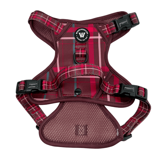 Peak Paws Harness - Mulberry Plaid - Woofingdales.co.uk