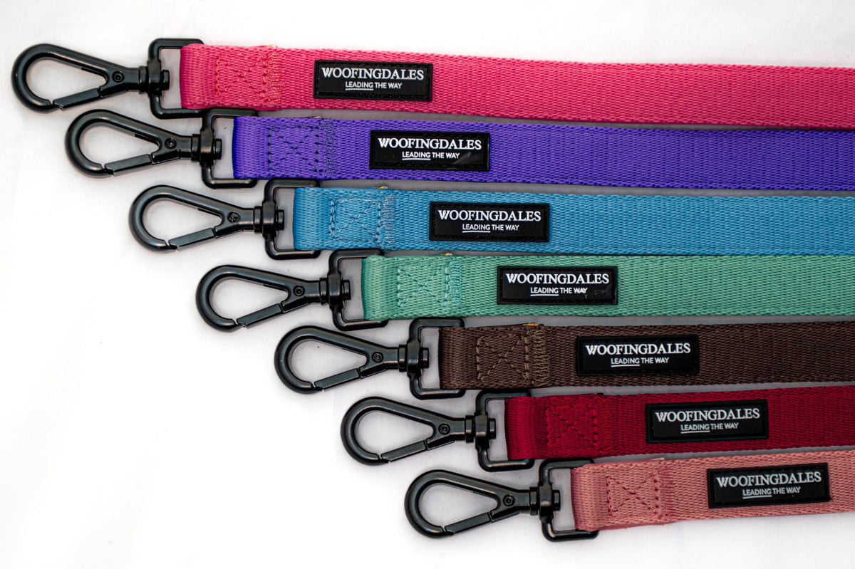 Peak Paws Multiway Lead - Violet - Woofingdales.co.uk