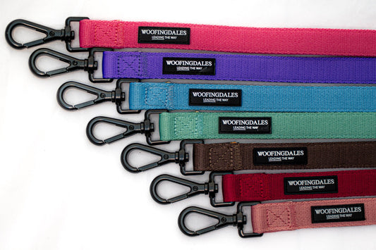 Peak Paws Multiway Lead - Violet - Woofingdales.co.uk
