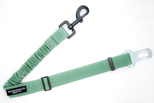 Peak Paws Seat Belt Attachment - Green - Woofingdales.co.uk