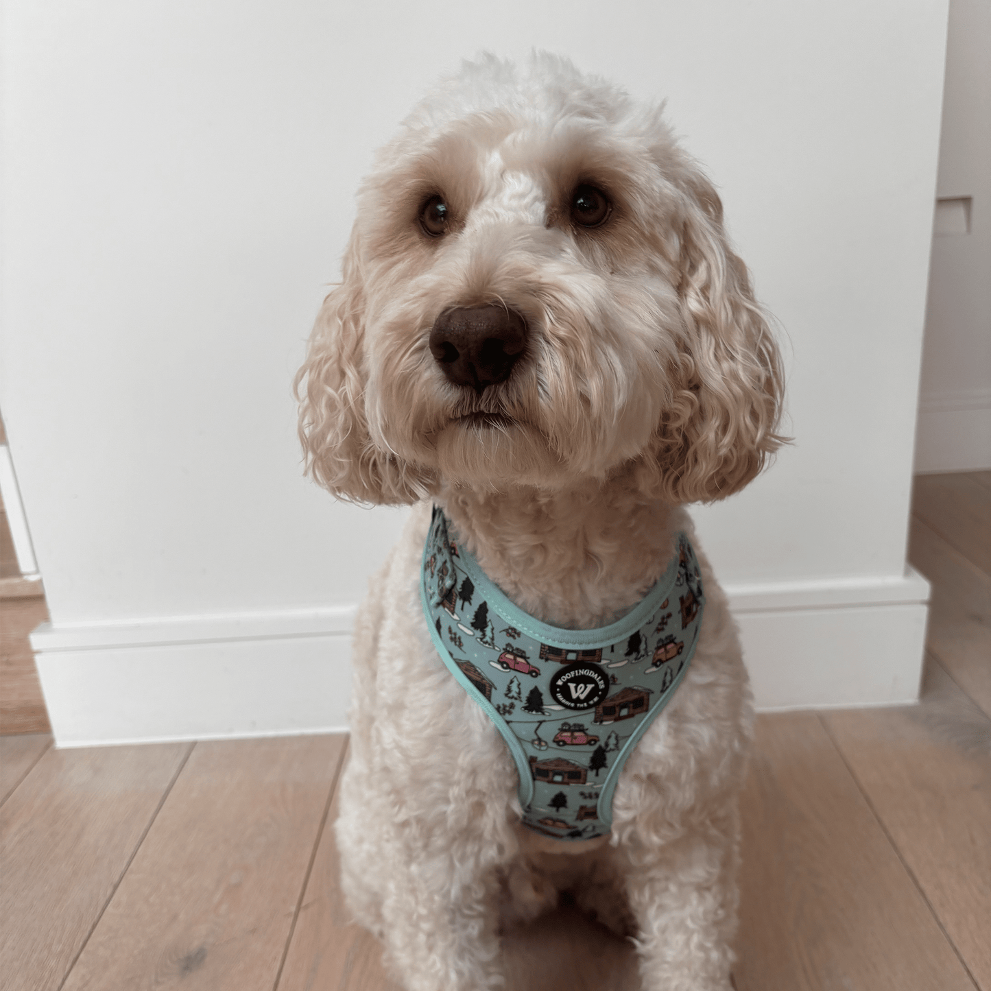 Snow Paws - Adjustable Harness - Woofingdales.co.uk