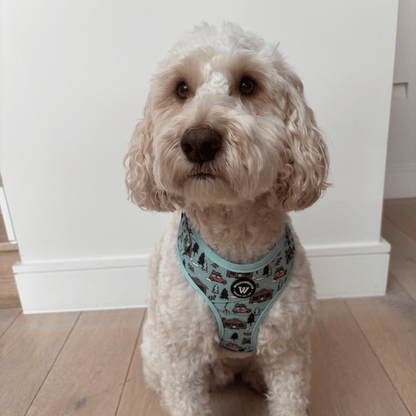 Snow Paws - Adjustable Harness - Woofingdales.co.uk