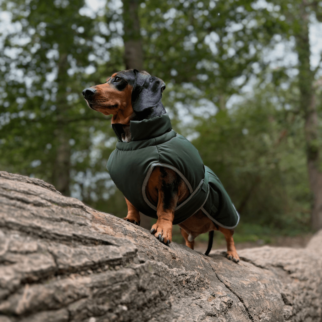 Waterproof Dog Coat - Khaki Green - Woofingdales.co.uk