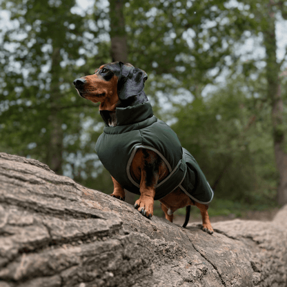 Waterproof Dog Coat - Khaki Green - Woofingdales.co.uk