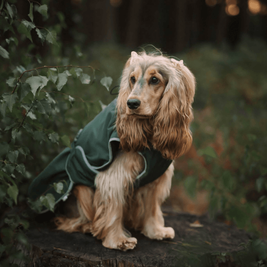 Waterproof Dog Coat - Khaki Green - Woofingdales.co.uk
