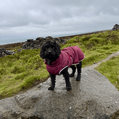 Waterproof Dog Coat - Mulberry - Woofingdales.co.uk