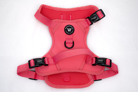 Peak Paws Harness - Fuchsia Pink