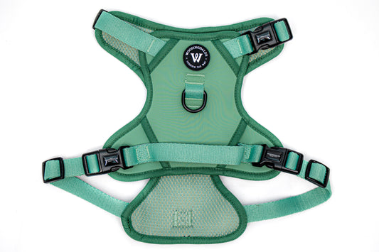 Peak Paws Harness - Green