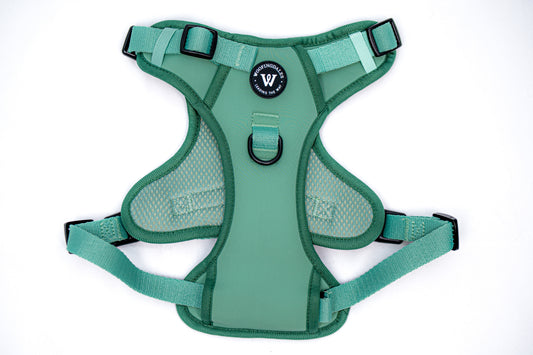 Peak Paws Harness - Green