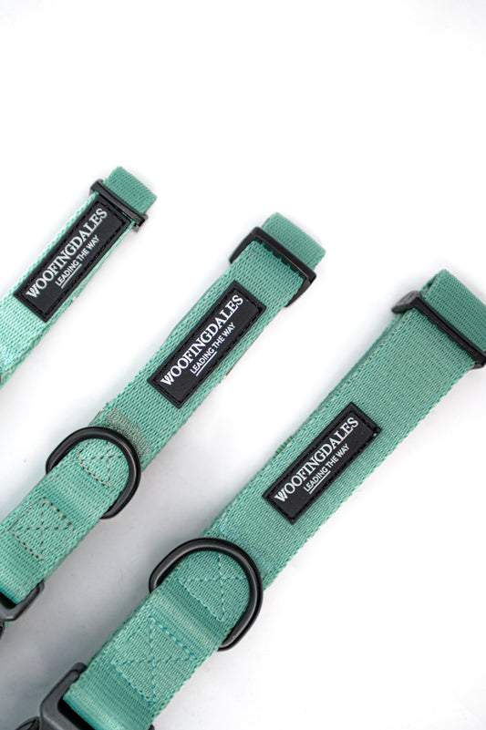 Peak Paws Collar - Green