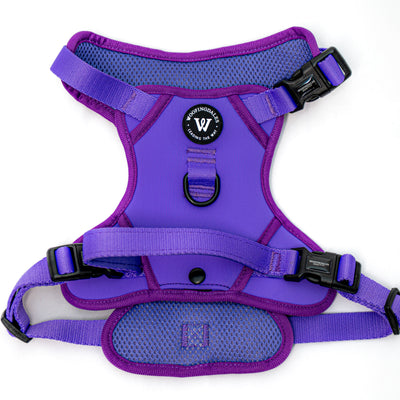 Peak Paws Harness - Violet