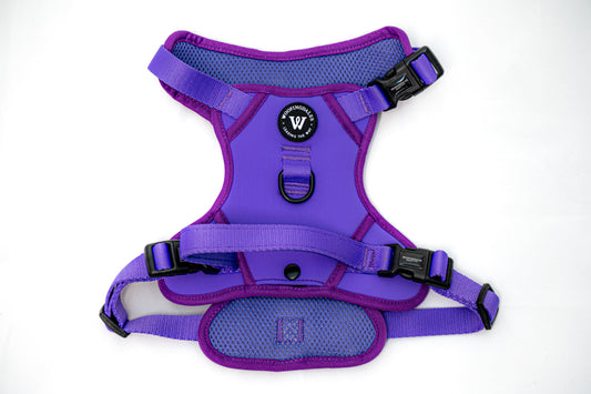Peak Paws Harness - Violet