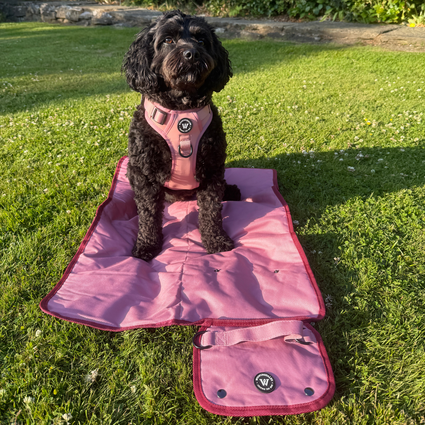 Woofingdales Settle Mat - Pink - Woofingdales.co.uk