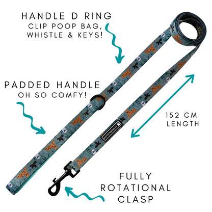 Summer In The Jungle Lead