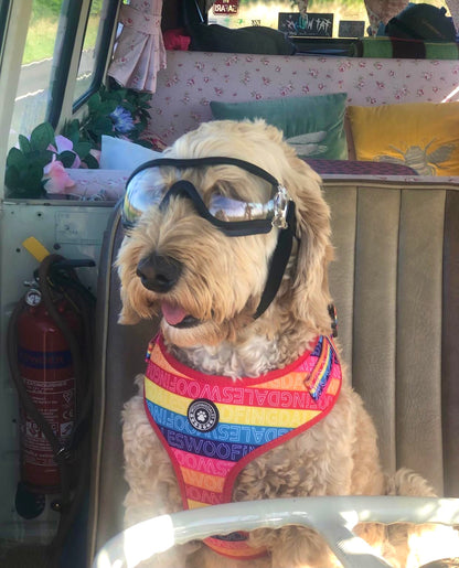 Be Kind Adjustable Harness