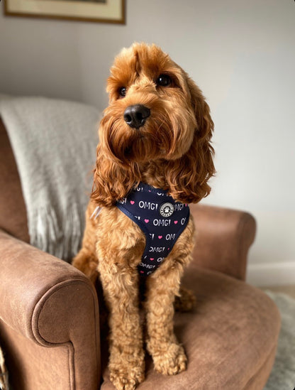 OMG Reversible Harness