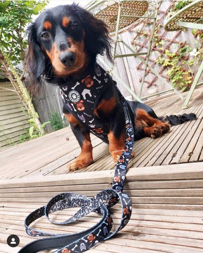 Woofing Good Time Lead