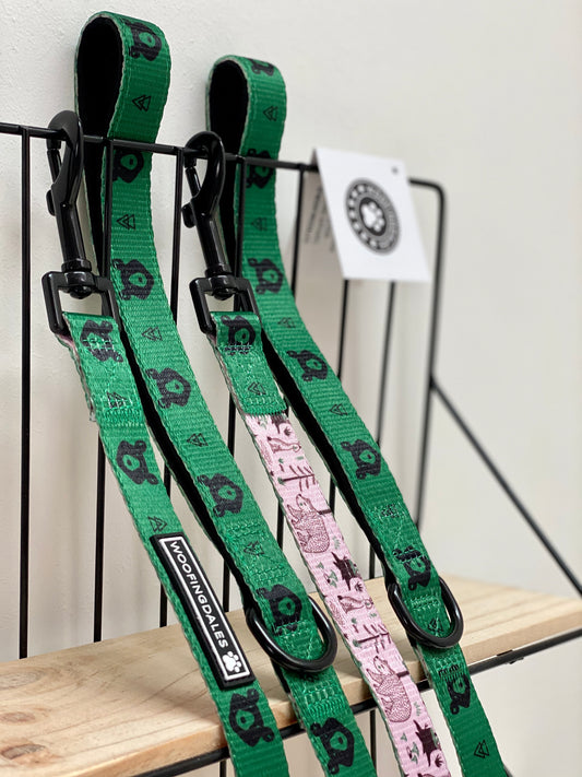 Woodland Adventure Lead