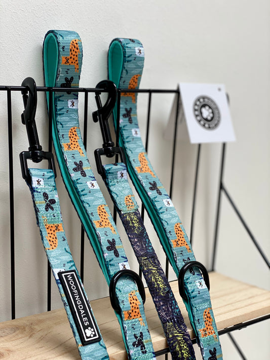 Summer In The Jungle Lead