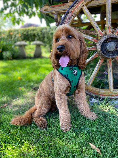 Woodland Adventure Reversible Harness