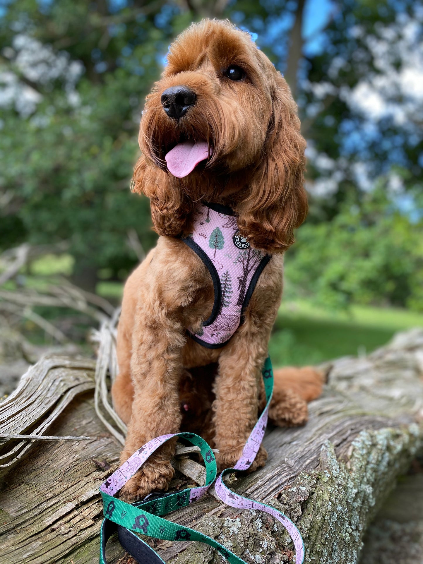 Woodland Adventure Reversible Harness