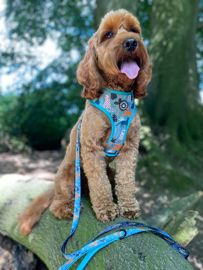 Summer In The Jungle Lead