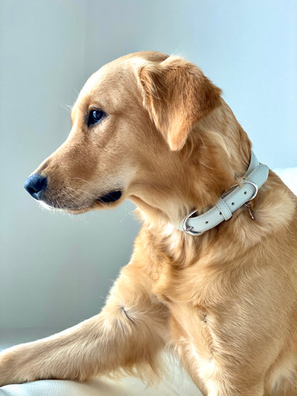 Luxury Leather Dog Collar - Grey