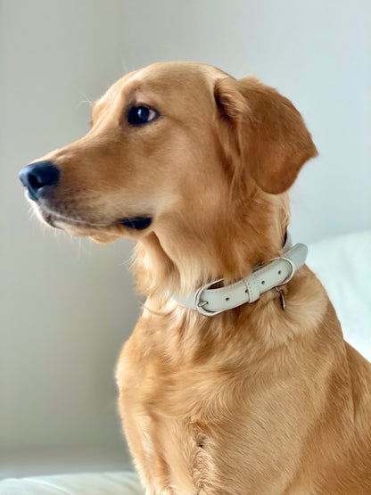 Luxury Leather Dog Collar - Grey