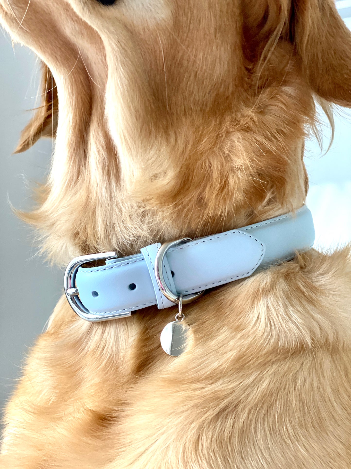 Luxury Leather Dog Collar - Blue