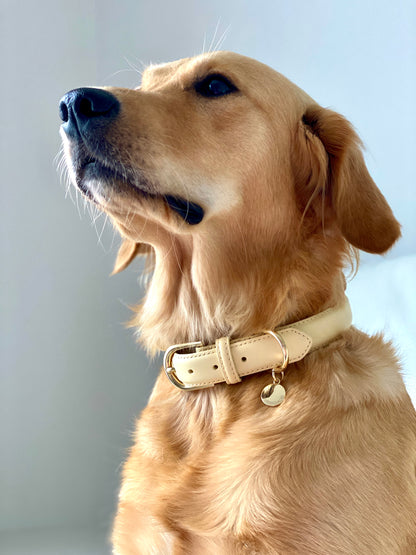 Luxury Leather Dog Collar - Yellow