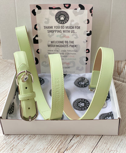 Luxury Leather Dog Lead - Green