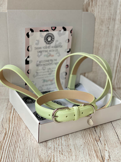 Luxury Leather Dog Lead - Green