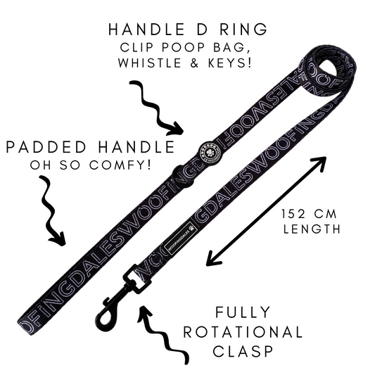 I'm Fabulous Lead