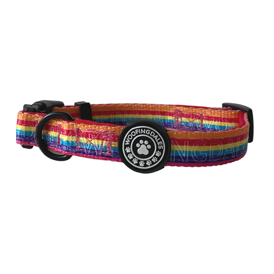 Be Kind Collar - Woofingdales.co.uk