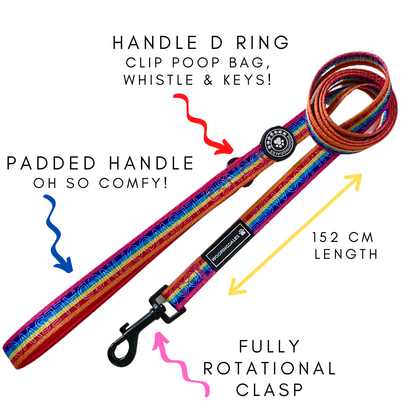 Be Kind Lead - Woofingdales.co.uk