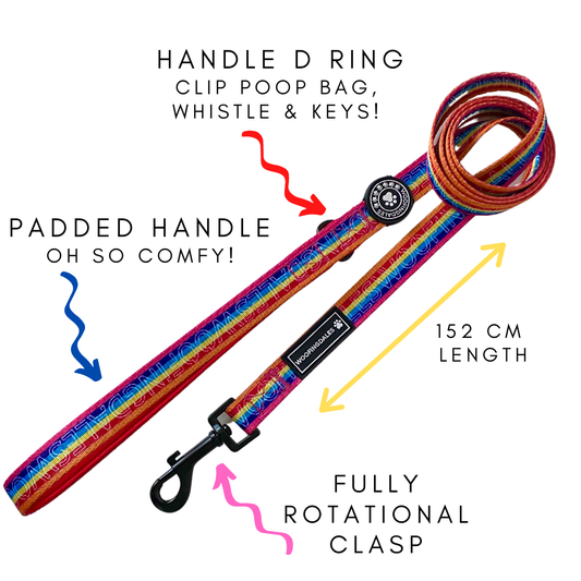 Be Kind Lead - Woofingdales.co.uk