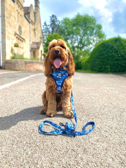 Blue Camo Lead - Woofingdales.co.uk