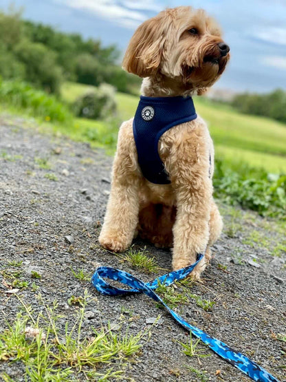 Blue Camo Reversible Harness - Woofingdales.co.uk