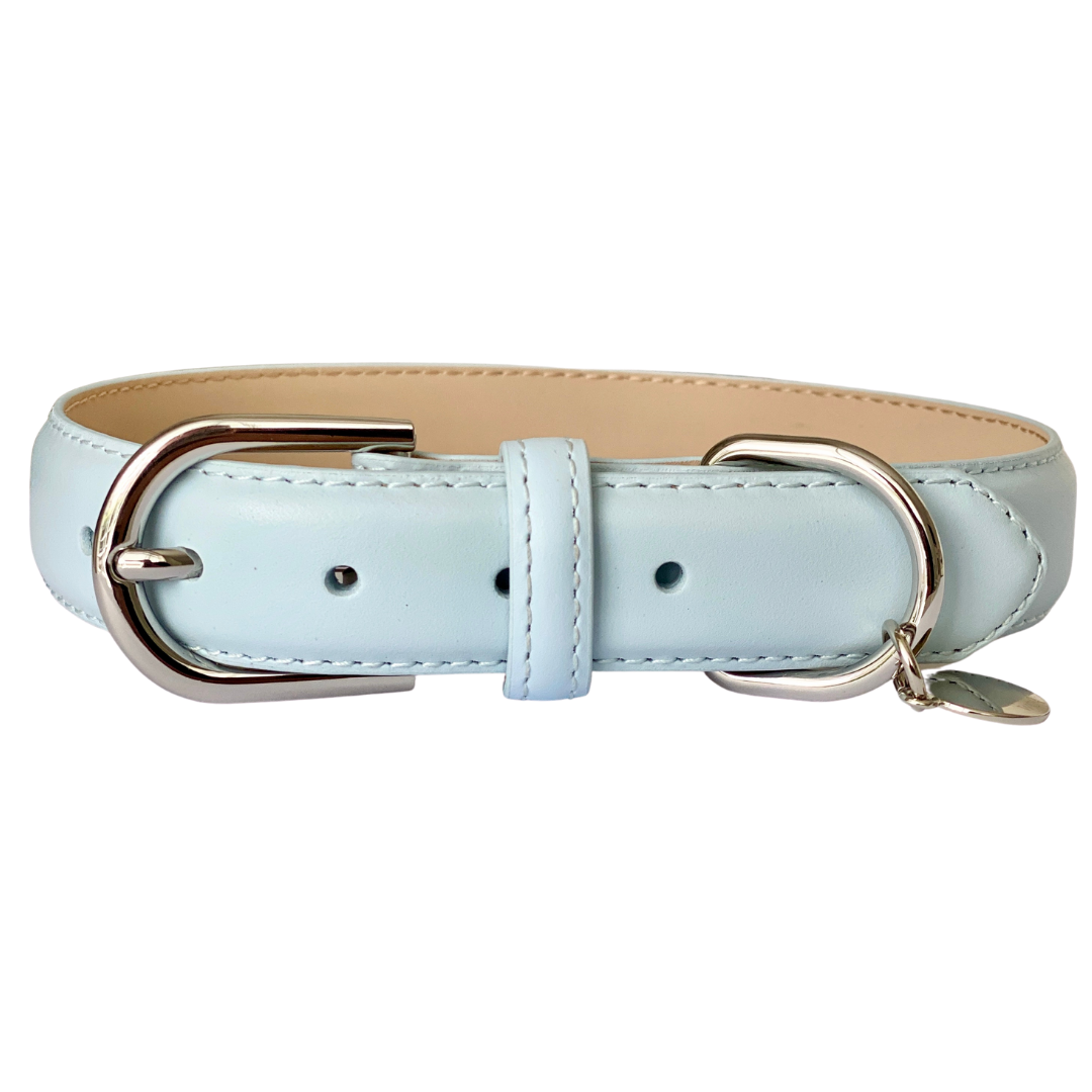 Luxury Leather Dog Collar - Blue