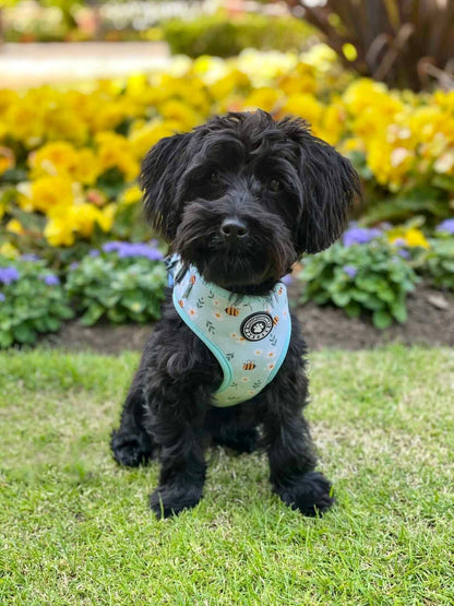 Busy Bee Adjustable Harness - Woofingdales.co.uk